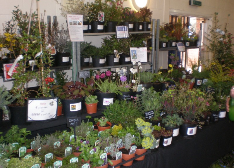 One of the Stalls at the Plant Fayre